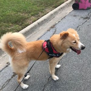 Meet your Posher, Carol